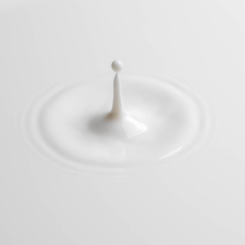 Drop of milk photograph